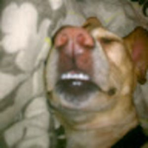 Meet your Posher, Mai